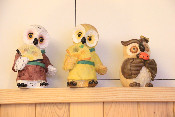 綠麥田:【台南||東區】綠麥田──平價鄉村風早午晚餐,貓頭鷹陪你幸福用餐!