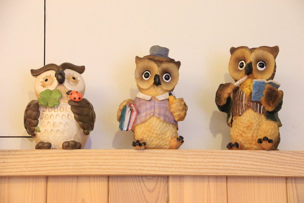 綠麥田：【台南||東區】綠麥田──平價鄉村風早午晚餐，貓頭鷹陪你幸福用餐！