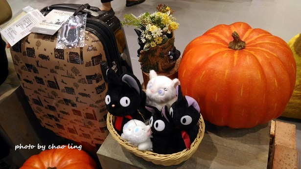 林口期限店-15.jpg - 2016遊古蹟.展館