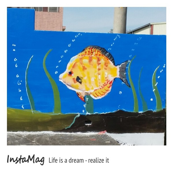 沙鹿福田社區彩繪村：【台中景點】沙鹿福田社區彩繪村