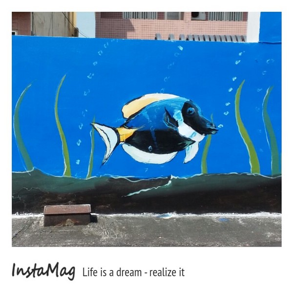 沙鹿福田社區彩繪村：【台中景點】沙鹿福田社區彩繪村