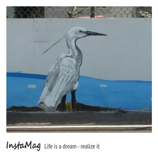 沙鹿福田社區彩繪村：【台中景點】沙鹿福田社區彩繪村