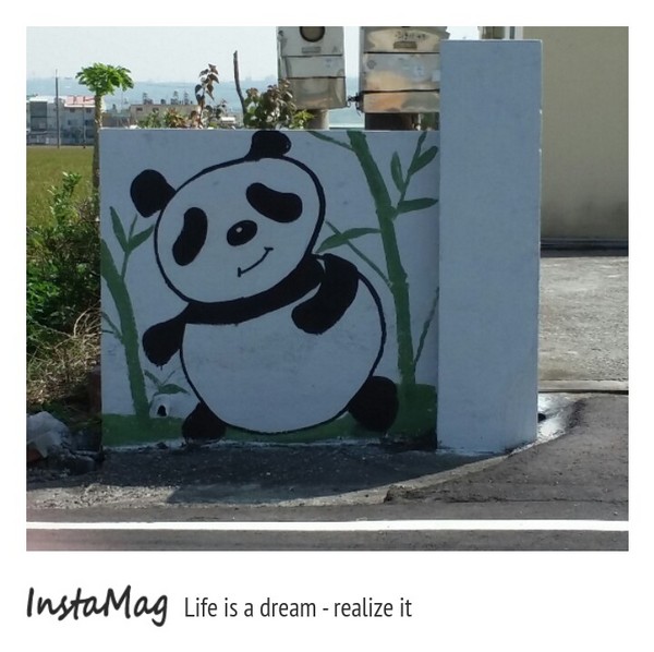 沙鹿福田社區彩繪村：【台中景點】沙鹿福田社區彩繪村