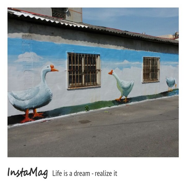 沙鹿福田社區彩繪村：【台中景點】沙鹿福田社區彩繪村