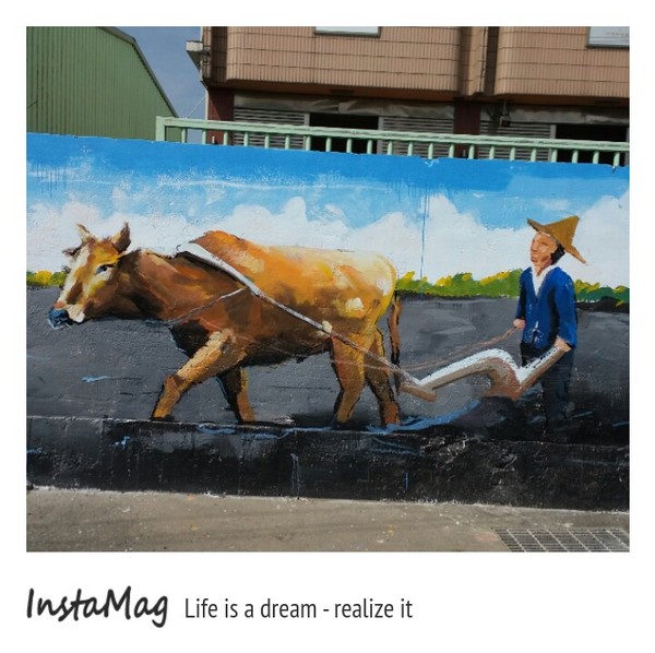 沙鹿福田社區彩繪村：【台中景點】沙鹿福田社區彩繪村