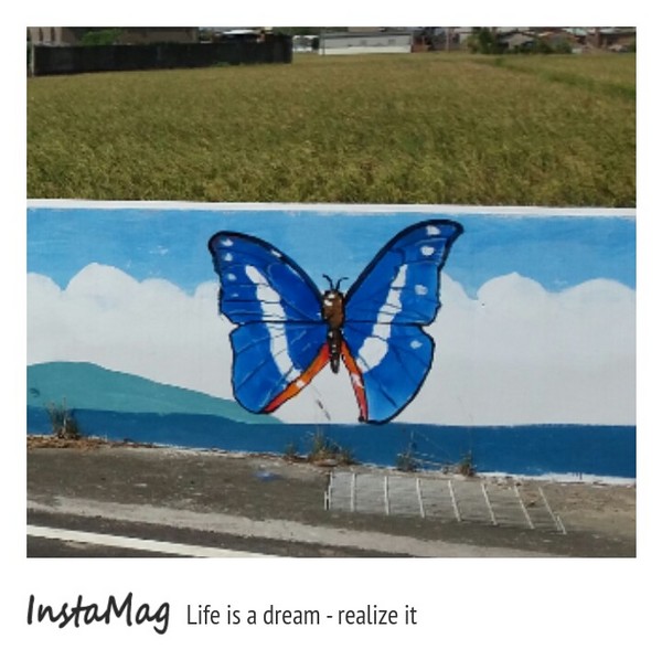 沙鹿福田社區彩繪村：【台中景點】沙鹿福田社區彩繪村