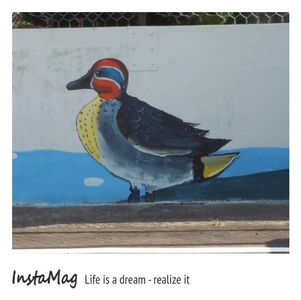 沙鹿福田社區彩繪村：【台中景點】沙鹿福田社區彩繪村