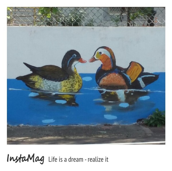 沙鹿福田社區彩繪村：【台中景點】沙鹿福田社區彩繪村