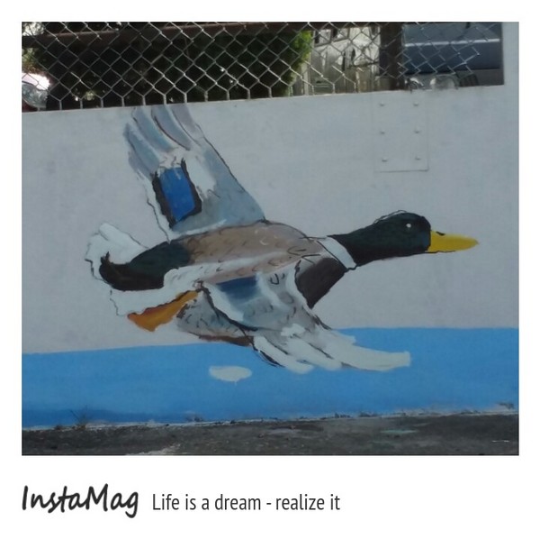 沙鹿福田社區彩繪村：【台中景點】沙鹿福田社區彩繪村