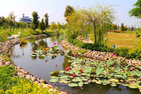 龍騰公園：【彰化景點】秀水龍騰公園~雙龍戲珠