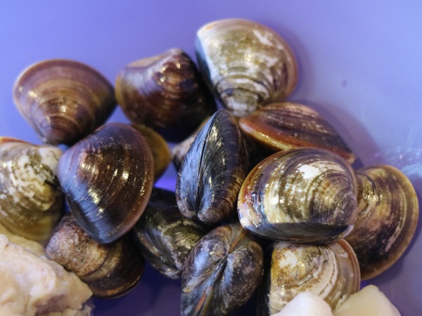 好久不見原創麻辣鍋吃到飽(西門店):【台北美食】好久不見原創麻辣鍋吃到飽(西門店)@捷運西門站