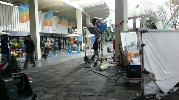 阿尼雞無骨鹹酥雞。Any Chicken(圓山花博1店)：阿尼雞無骨鹹酥雞