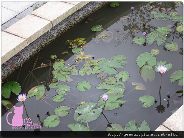 阿尼雞無骨鹹酥雞。Any Chicken(圓山花博1店)：【台北踩點趣】超熱門國民美食報你知～想吃到日式居酒屋等級的炸物嗎？來圓山花博特區集食行樂美食街第二攤的阿尼雞無骨鹹酥雞就對哩～激推脆嫩又多汁的炸蔬菜！鹹酥雞冷掉也好吃唷～