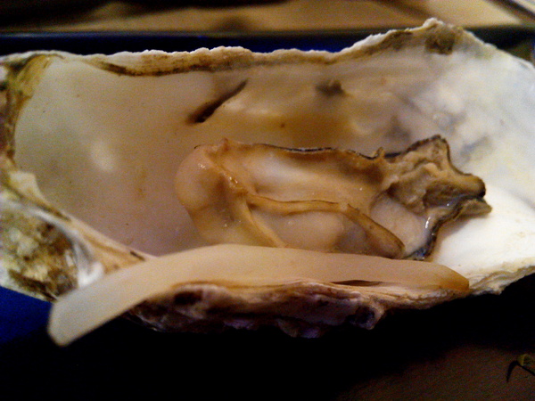 OMAYA春川炒雞(台南永華店)： ☆口碑券No.11☆【臺南Ω中西區】Omaya春川炒雞（永華店）。釜山巨無霸海鮮盆，各種新鮮食材超澎湃