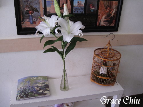 上菜囉 Viva la fete法式餐廳(捷運忠孝新生站)