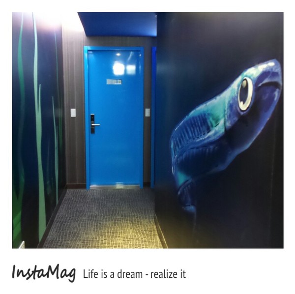 清翼居旅店海洋館：【新北市住宿】板橋平價住宿~清異居旅店海洋館(板橋清異居二館)