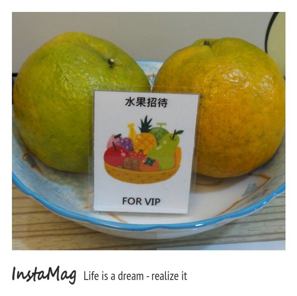 清翼居旅店海洋館：【新北市住宿】板橋平價住宿~清異居旅店海洋館(板橋清異居二館)