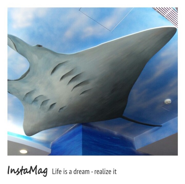 清翼居旅店海洋館：【新北市住宿】板橋平價住宿~清異居旅店海洋館(板橋清異居二館)