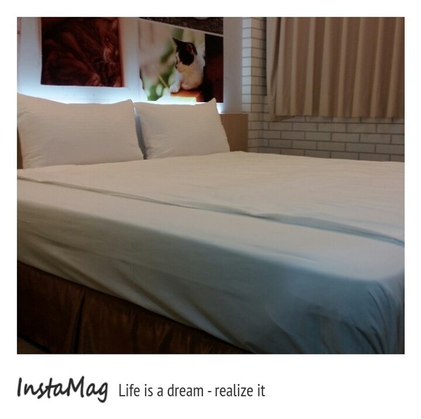 清翼居旅店海洋館：【新北市住宿】板橋平價住宿~清異居旅店海洋館(板橋清異居二館)