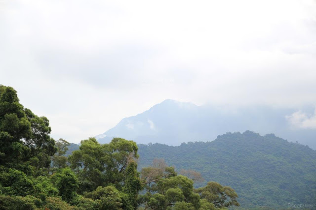 山川琉璃吊橋-6