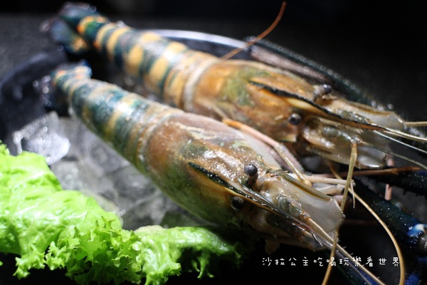 燒惑日式炭火燒肉(中和分店)：中和吃到飽『燒惑日式炭火燒肉』火烤/燒烤/宵夜/景安捷運站