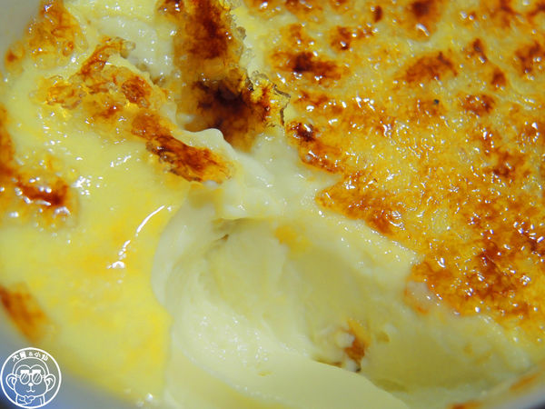 卡比咖啡：呷飽祙【新竹･卡比咖啡Catbii】一群貓星人陪用餐