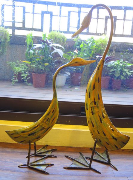 卡比咖啡：呷飽祙【新竹･卡比咖啡Catbii】一群貓星人陪用餐