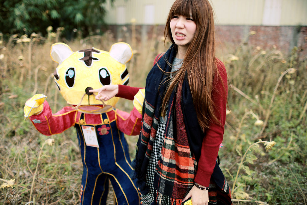 桃園地景藝術探訪