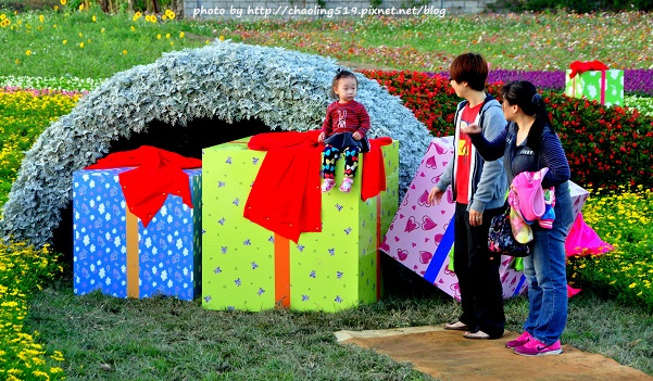 2015桃園花彩節-19.JPG