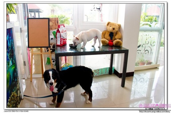 3號咖啡:【美食♥ 桃園】☼ 新屋3號咖啡☼ 親子寵物友善餐廳,風景美餐點好吃,孩子也玩得很開心♥♥