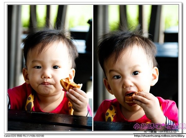 3號咖啡:【美食♥ 桃園】☼ 新屋3號咖啡☼ 親子寵物友善餐廳,風景美餐點好吃,孩子也玩得很開心♥♥