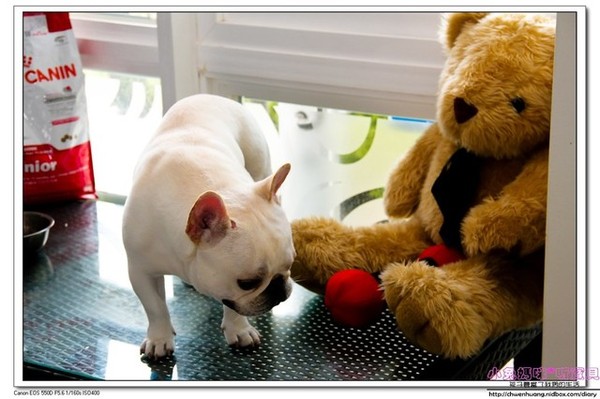 3號咖啡:【美食♥ 桃園】☼ 新屋3號咖啡☼ 親子寵物友善餐廳,風景美餐點好吃,孩子也玩得很開心♥♥