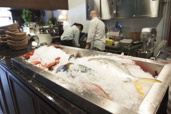  La LUPA Classic 經典母狼初訪 - 20