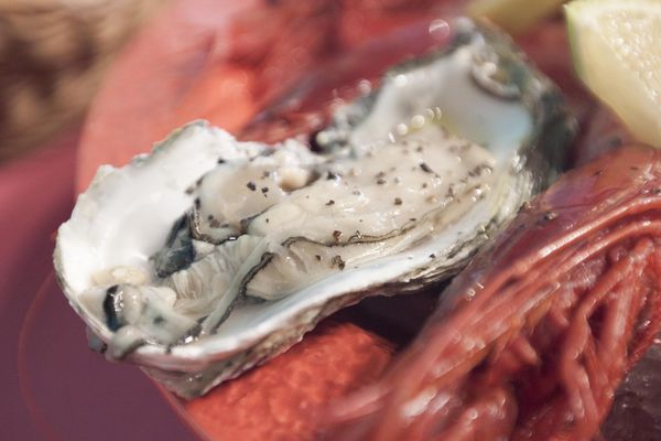  La LUPA Classic 經典母狼初訪 - 11