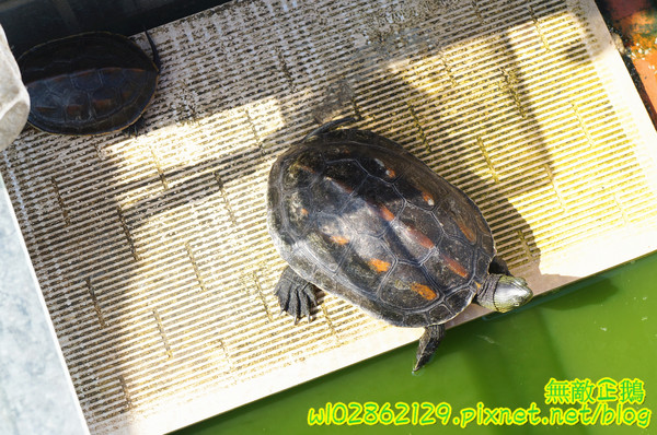 亞米Yummy:【台南-中西區】隱藏於巷弄的美味..堅持現點現做!~《亞米Yummy》