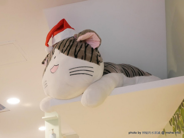 喵匠義式麵坊-清水店:【食記】台中喵匠義式麵坊-清水店@清水 : 貓奴應該會喜歡? 療癒系平價美味!清水也有夠水準的義式料理