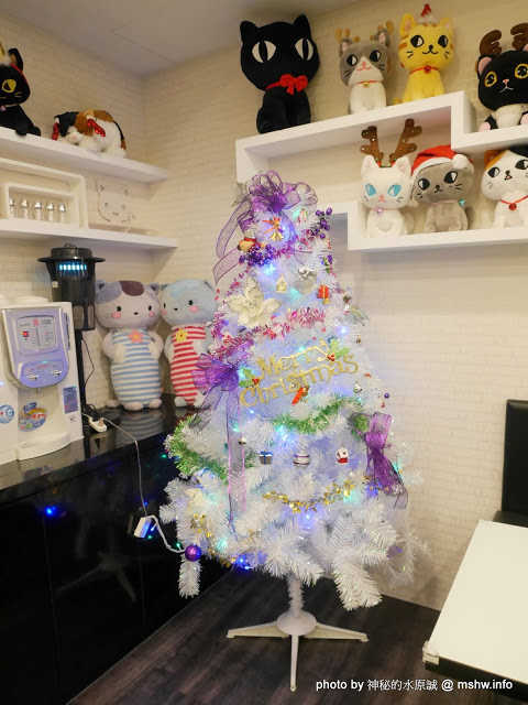 喵匠義式麵坊-清水店:【食記】台中喵匠義式麵坊-清水店@清水 : 貓奴應該會喜歡? 療癒系平價美味!清水也有夠水準的義式料理