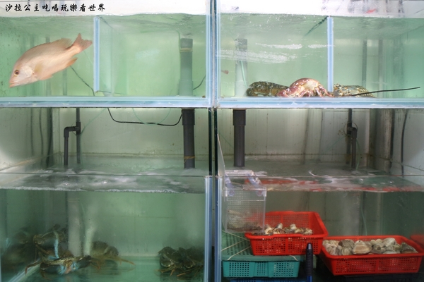 囍聚精緻鍋物:火鍋也有無菜單『囍聚精緻鍋物』新鮮海味霸氣登場/近華視/捷運國父紀念館站