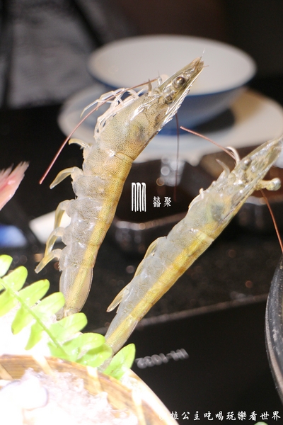 囍聚精緻鍋物:火鍋也有無菜單『囍聚精緻鍋物』新鮮海味霸氣登場/近華視/捷運國父紀念館站