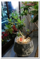 囍聚精緻鍋物：海陸火鍋．鍋物食材才是主角──囍聚精緻鍋物