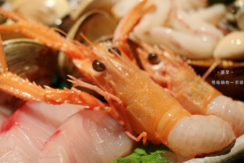 。囍聚。精緻鍋物113