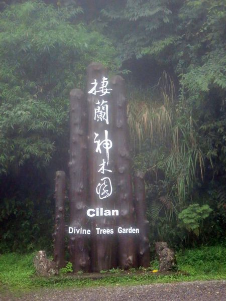 【宜蘭旅遊】馬告生態公園神木園-千年歲月,歷史見證