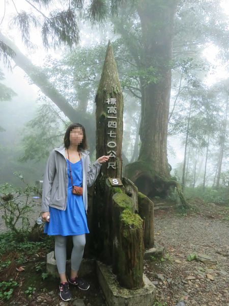 【宜蘭旅遊】馬告生態公園神木園-千年歲月,歷史見證