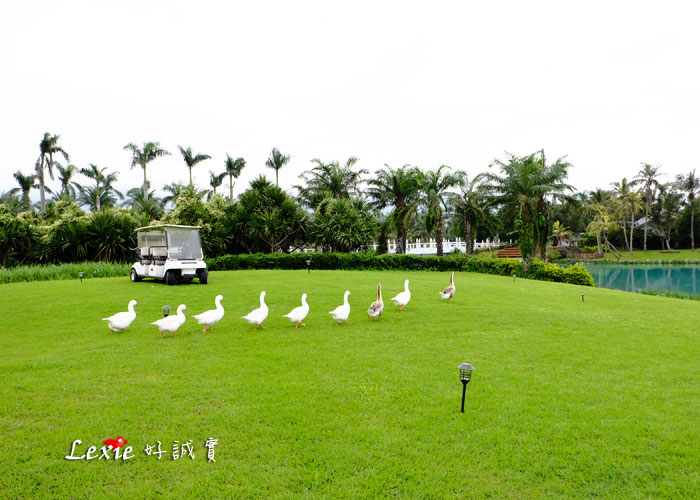 花蓮雲山水villa-home4