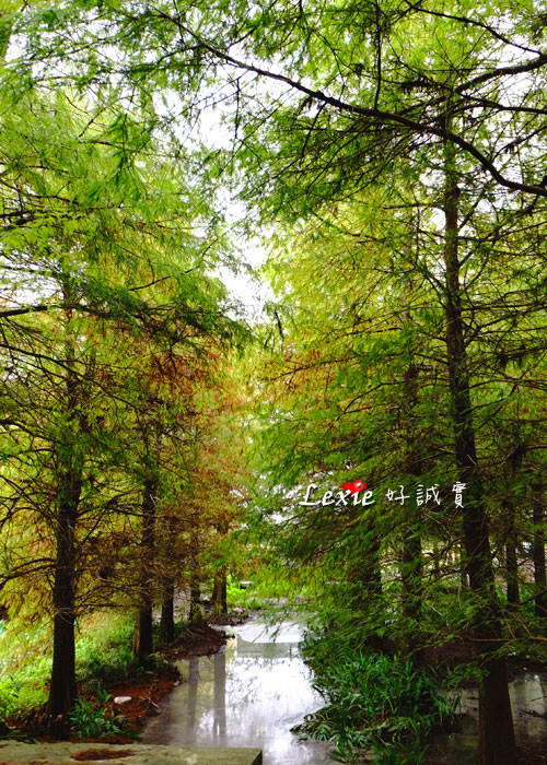 花蓮雲山水villa-home35