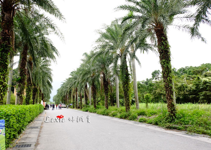 花蓮雲山水villa-home27