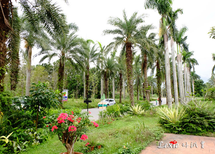 花蓮雲山水villa-home25