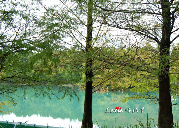 花蓮雲山水villa-home14