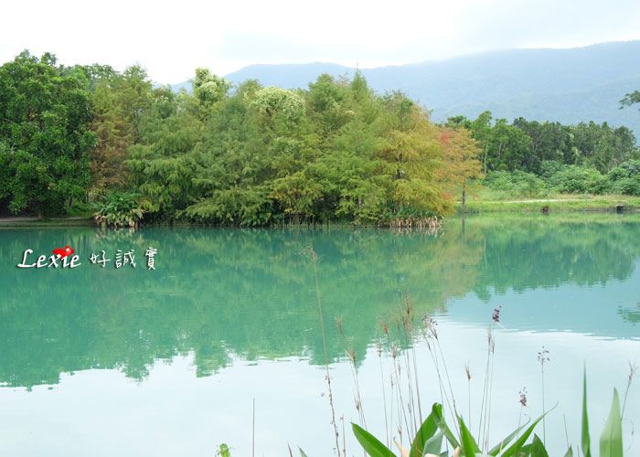 花蓮雲山水villa-home15