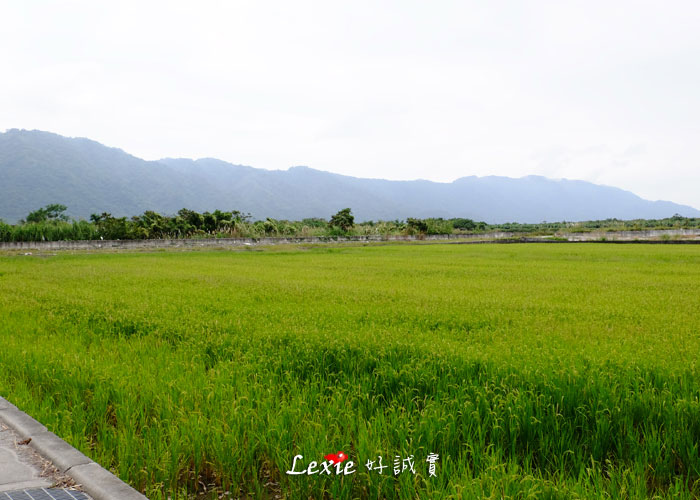 花蓮雲山水villa-home11